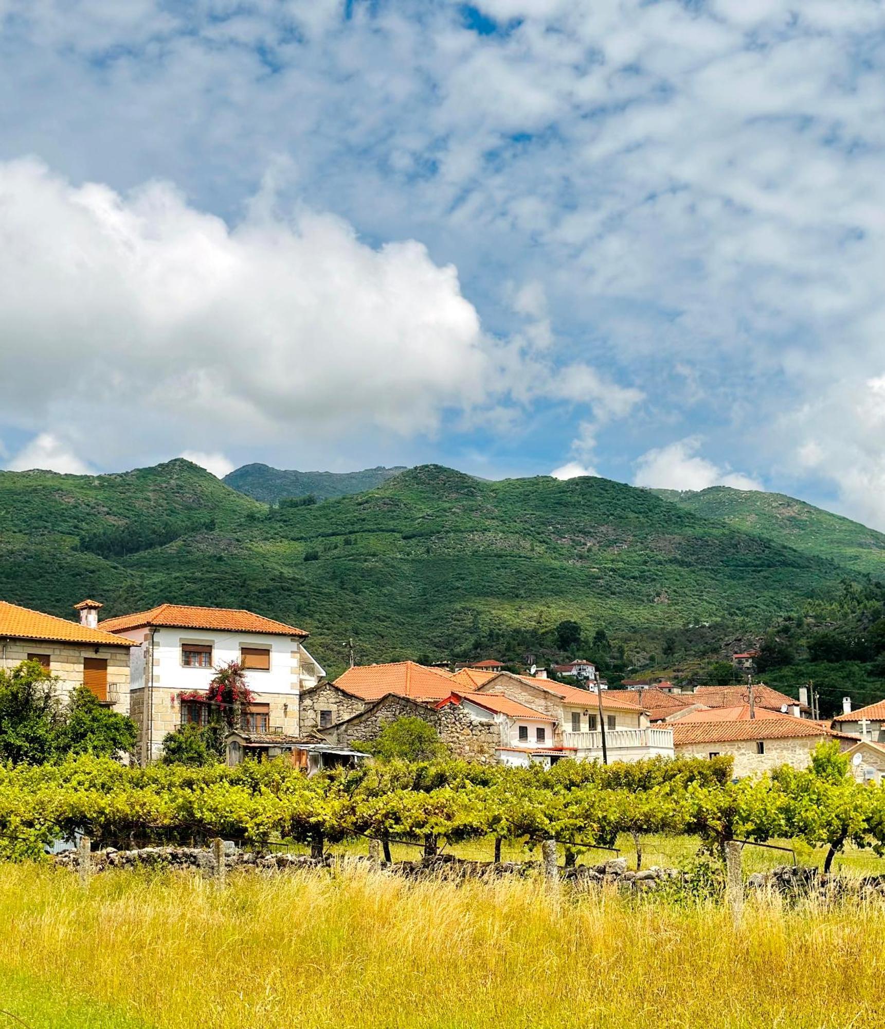 Casa Da Touca Villa Arcos de Valdevez Buitenkant foto