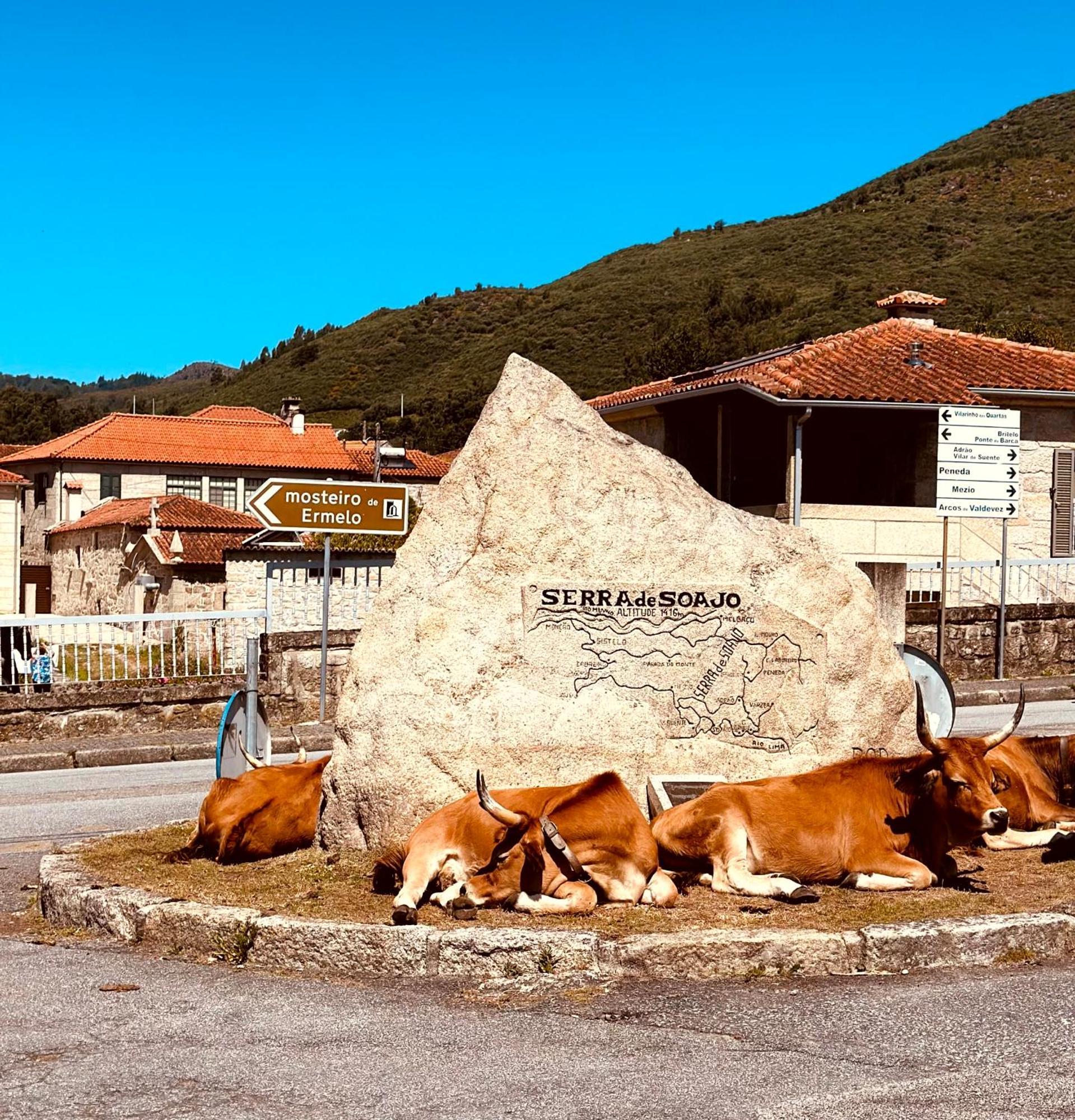 Casa Da Touca Villa Arcos de Valdevez Buitenkant foto